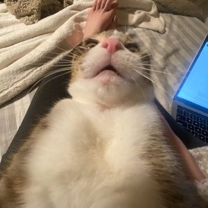 Meet your Posher, Kaelyn